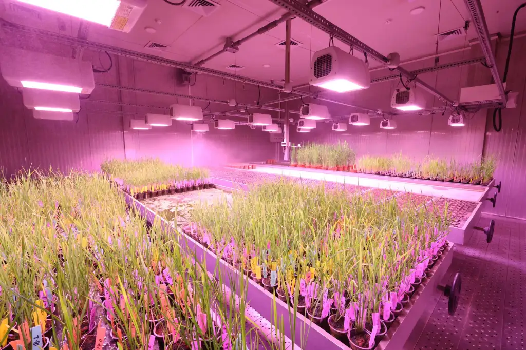 广州商务出行需求增长下的航空服务优化方案与实施路径