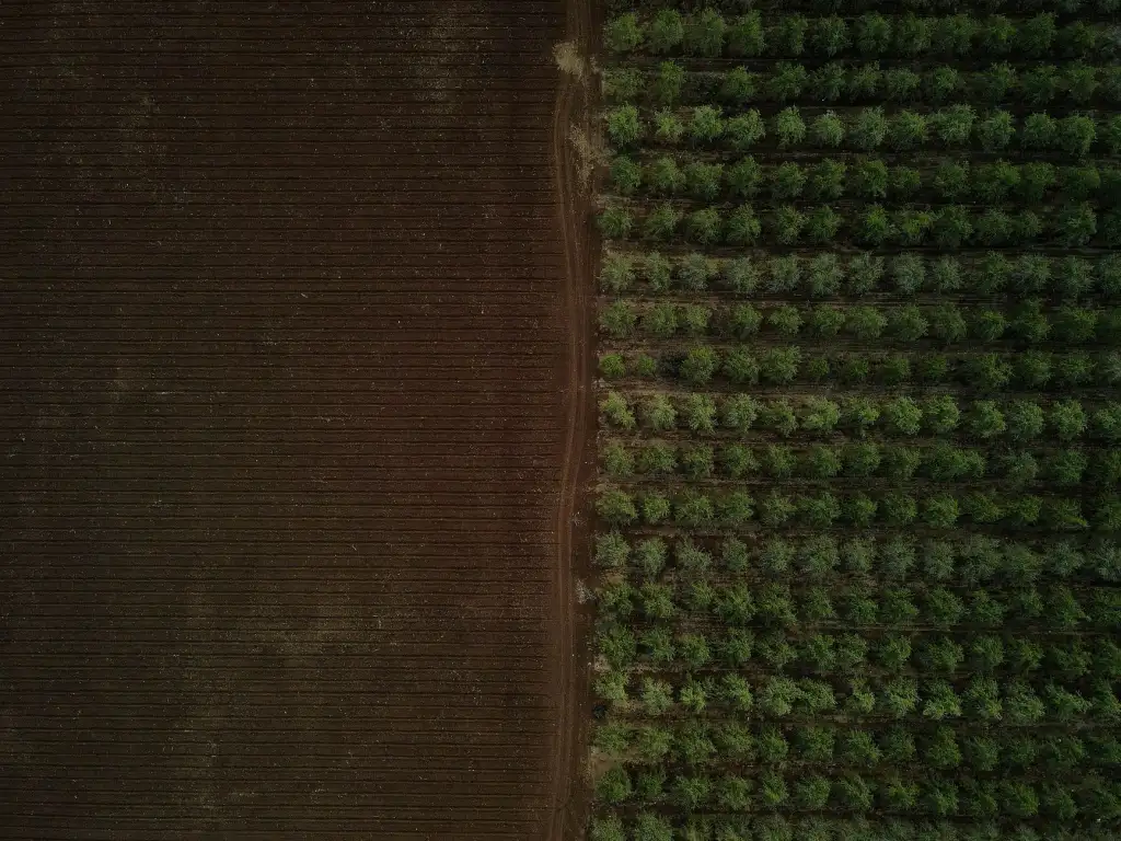 航空服务行业动态：广州商务出行机票预订模式的数字化转型观察